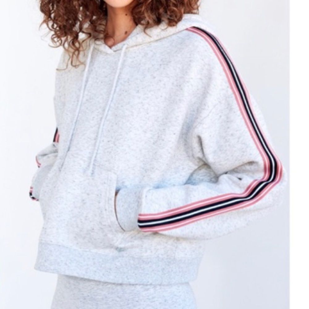 Aritzia The Iconic Tna Gray Cropped Hoodie